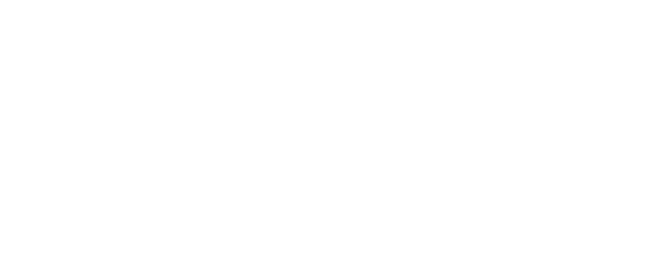 VIP Vision Investment Portal